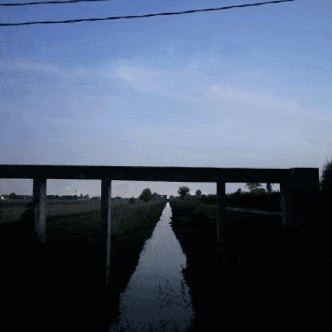 Una foto ogni giorno dello stesso punto