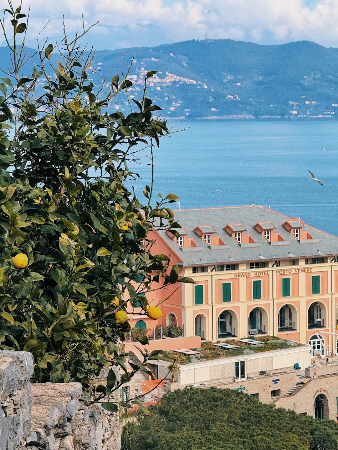Albero di limoni che si affaccia su un hotel costiero, con vista su una baia e su colline lontane, sotto un cielo parzialmente nuvoloso.
