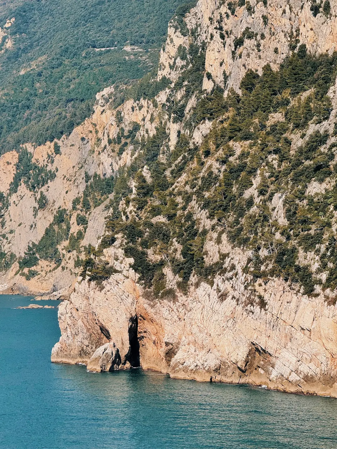 Scogliera rocciosa con vegetazione sparsa che si estende nel mare turchese sotto un cielo limpido.