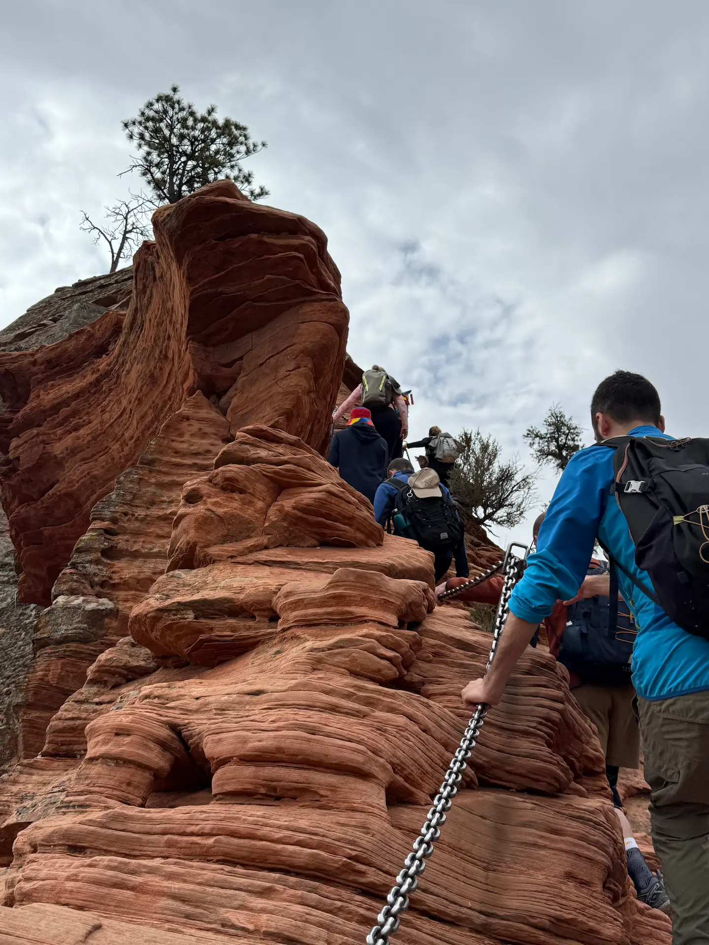 Persone in salita lungo una parete rocciosa rossa con catena di sicurezza ad Angel’s Landing, Zion National Park.