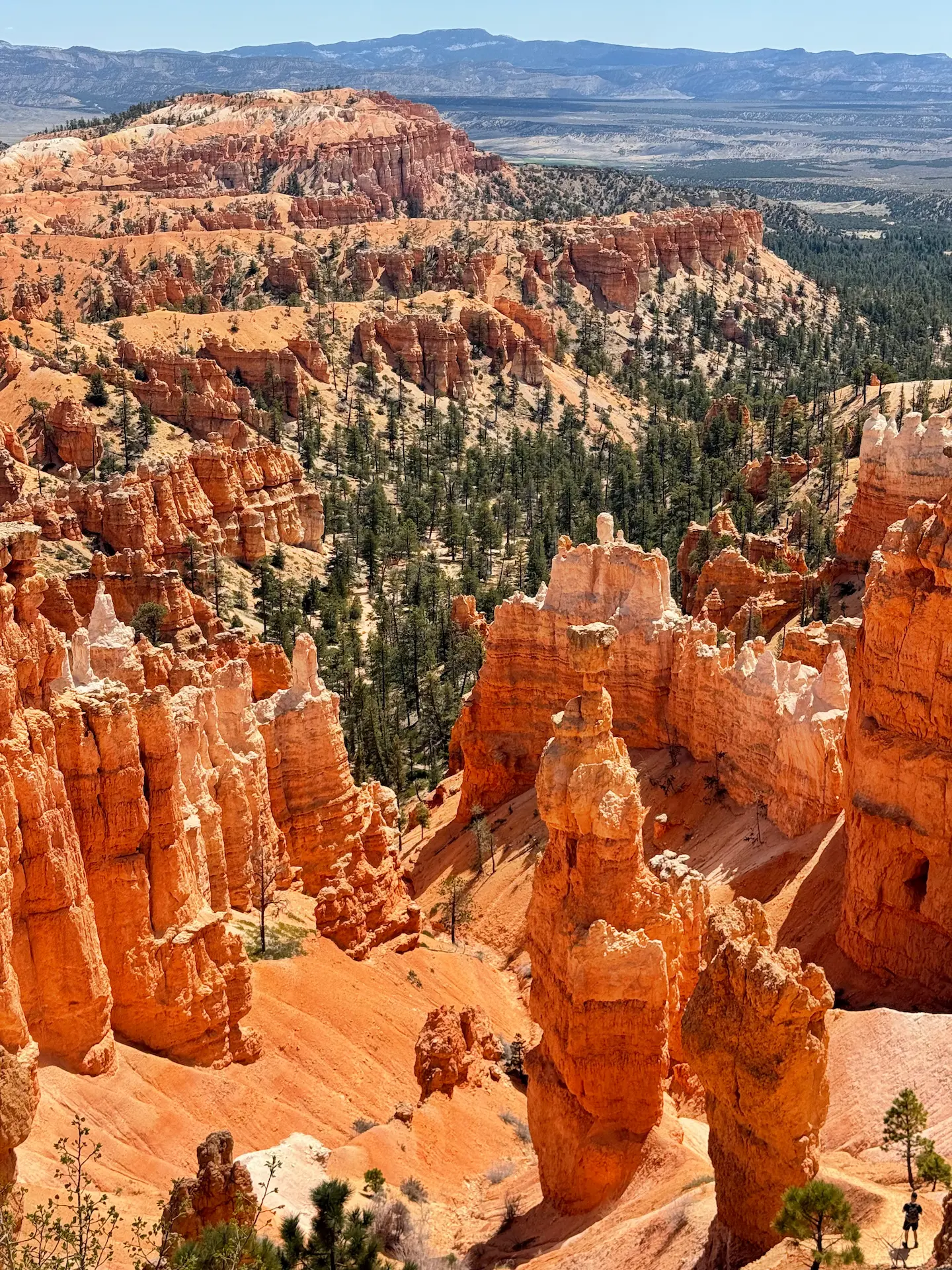 Vista panoramica del Bryce Canyon.