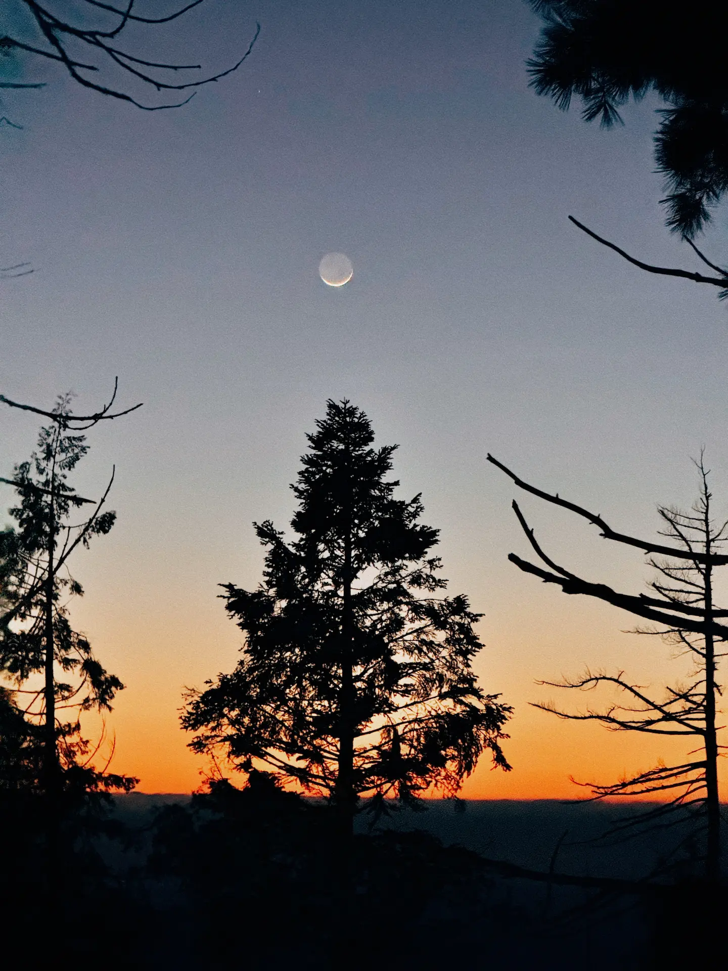 Sunset @ Sequoia National Park