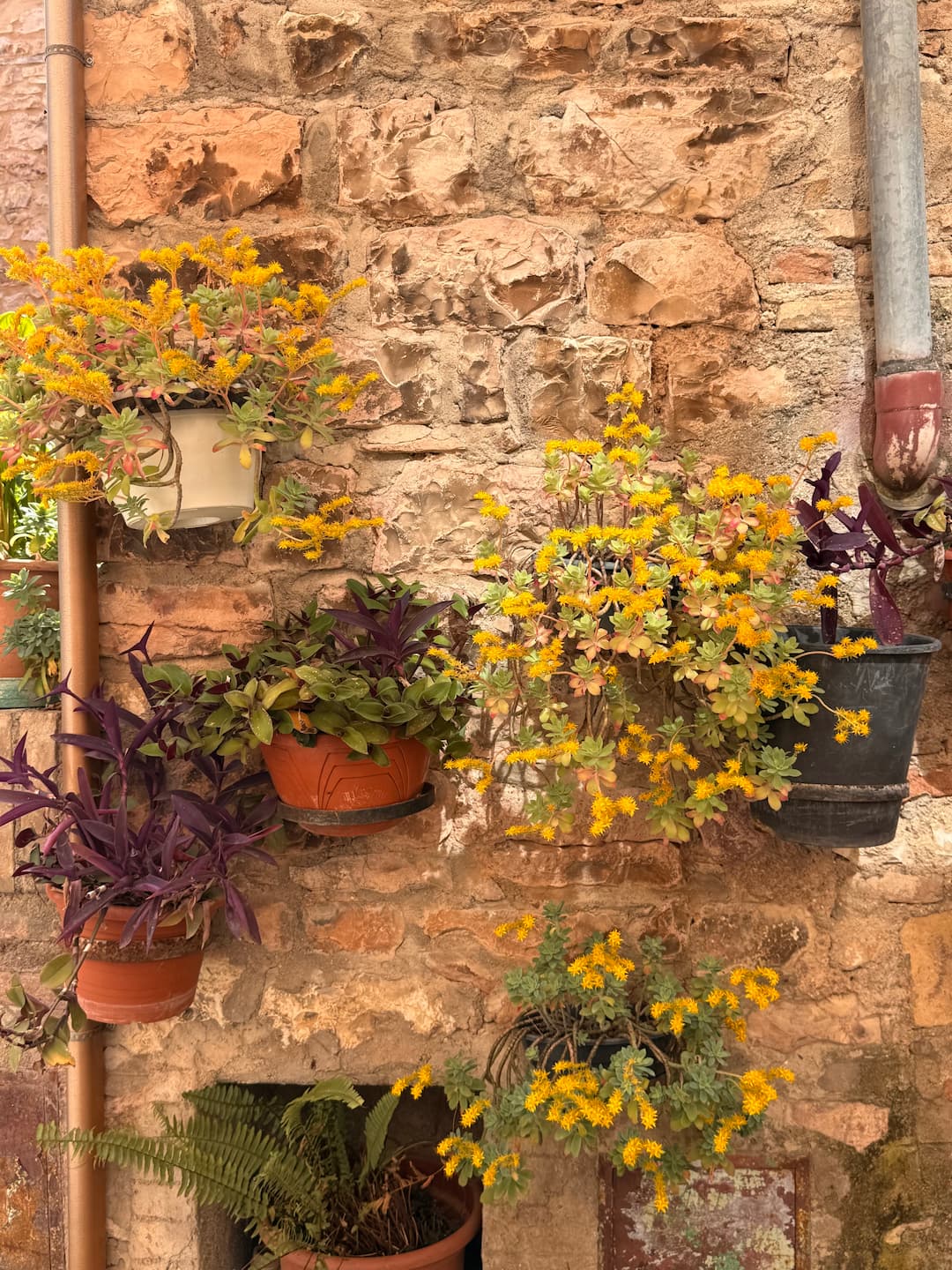 Vicoli e case a spello