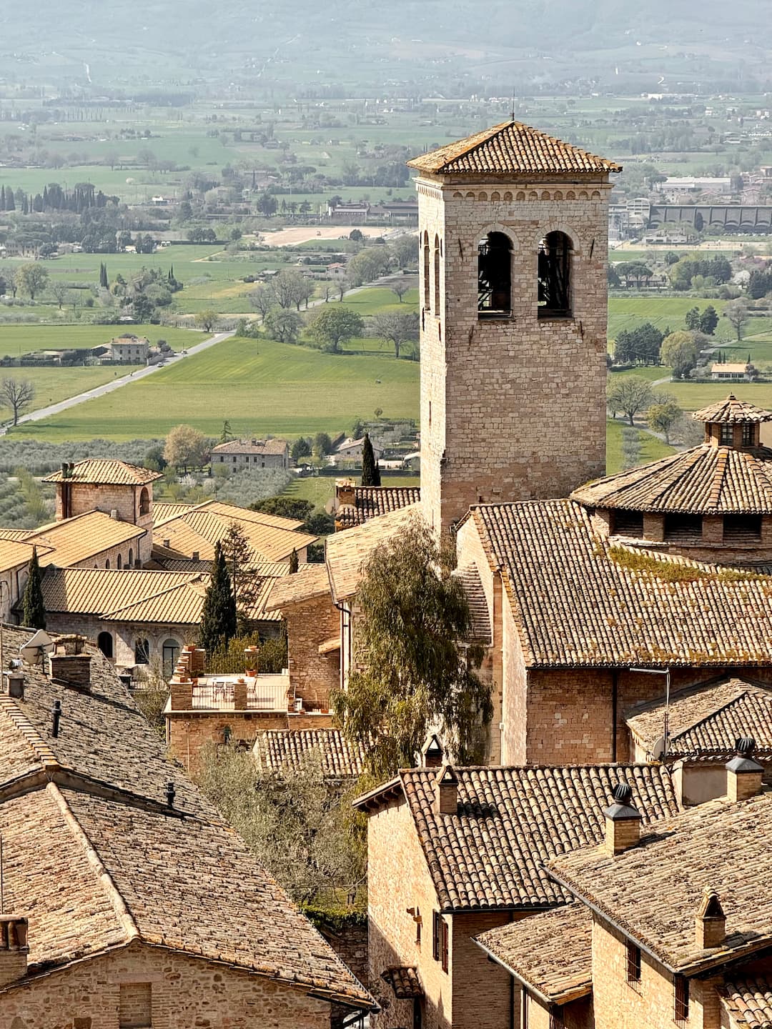Tetti delle case di Assisi